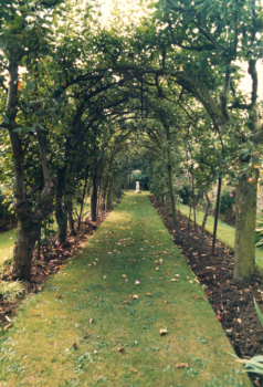 Garden_0014 (1)