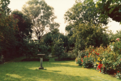 Garden_0017