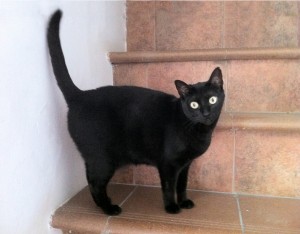 IMG_0699-PHE (1)                          