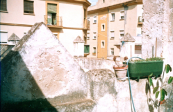 ROOF-GARDEN-1- 