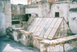 ROOF-GARDEN-2- 