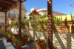 ROOF-GARDEN-PERGOLA--S 