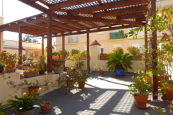 ROOF-GARDEN-PERGOLA-S 